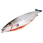 Семга потрошеная с головой замороженная, упаковка (4-5кг)