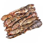 Терпуг  неразделанный с головой блочной заморозки ГОСТ, пласт (17-19кг)