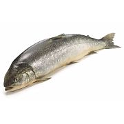 Голец неразделанный с головой замороженный ГОСТ, упаковка (0.8-1.2кг)